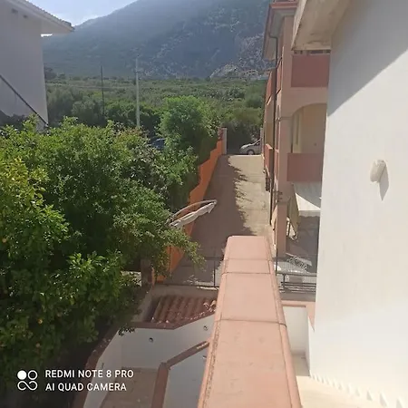 Haiku アパート *