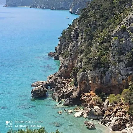 アパート Haiku *