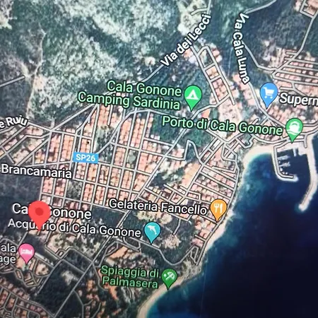 Haiku カーラゴノネ