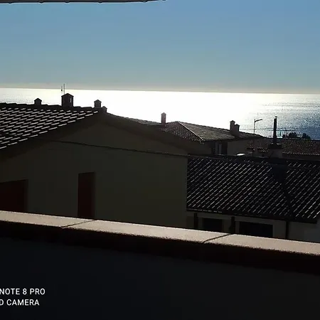 アパート Haiku *