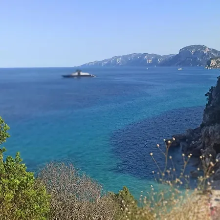 アパート Haiku *