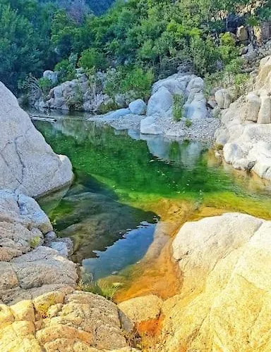 Haiku קאלה גונונה