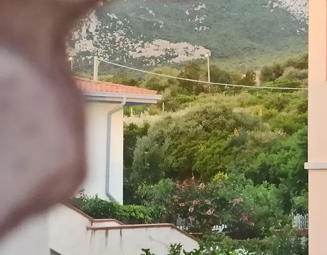 Haiku * קאלה גונונה