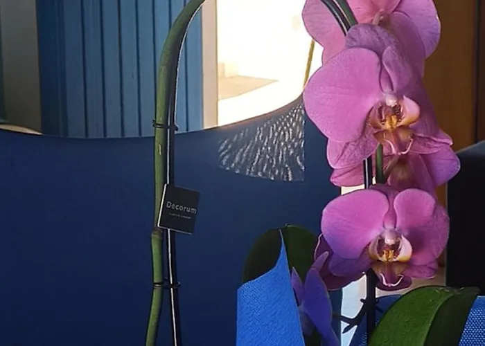 Haiku דירה קאלה גונונה